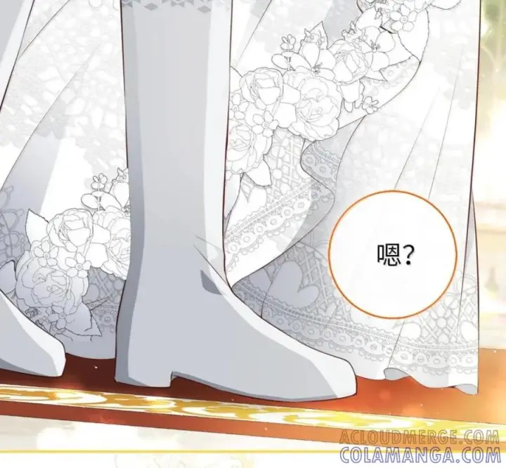 《狮子公爵家的松鼠千金》番外1 我们的婚礼图105