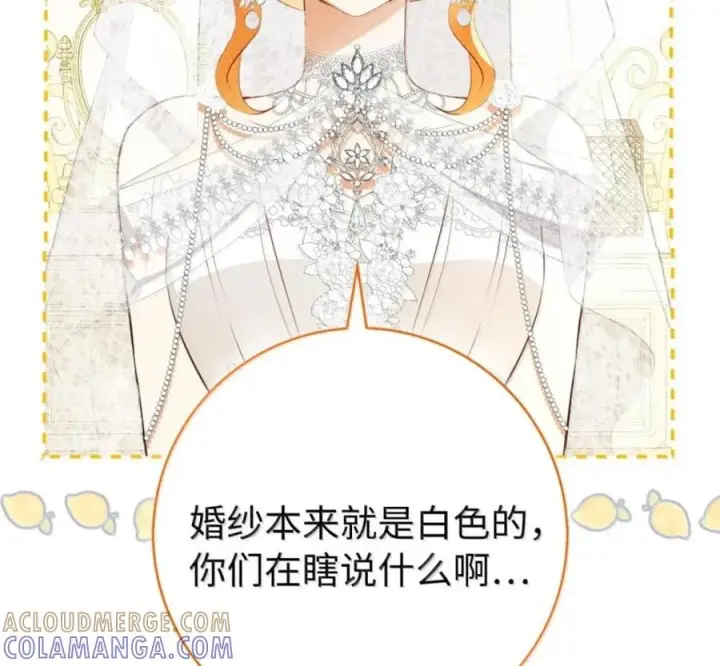 《狮子公爵家的松鼠千金》番外1 我们的婚礼图21