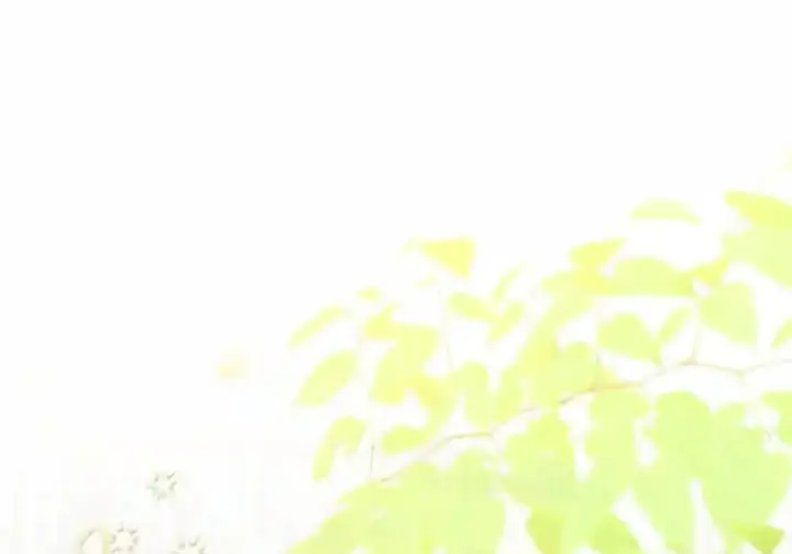 《狮子公爵家的松鼠千金》番外3 我怎么变成这样了？！图220
