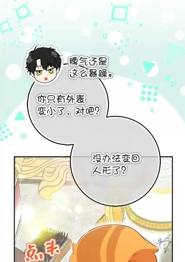 《狮子公爵家的松鼠千金》番外4 你这样来见我也好图35