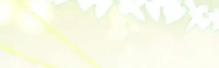 《狮子公爵家的松鼠千金》番外7 前往东大陆图151