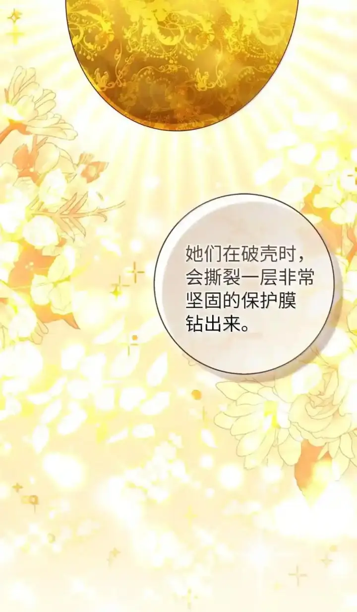 《狮子公爵家的松鼠千金》番外9 欢迎来到这个世界上图69