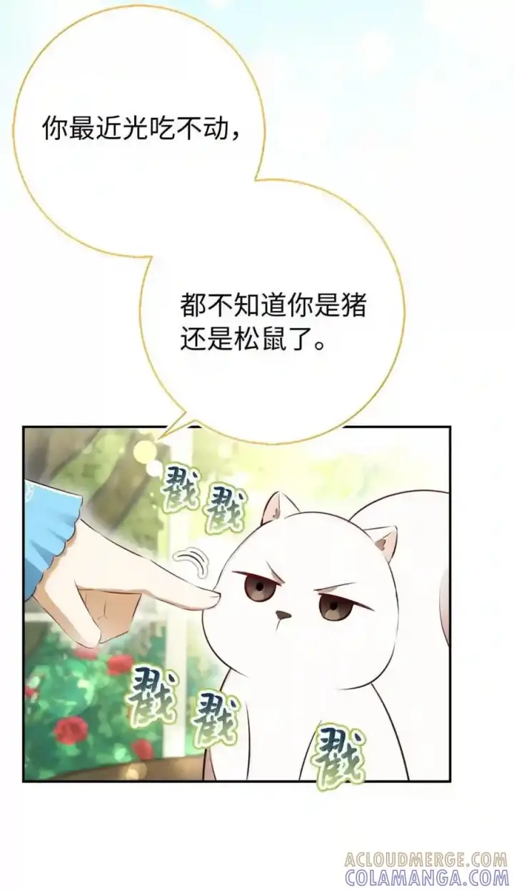 《狮子公爵家的松鼠千金》番外10 幸福的笑声从未间断图20