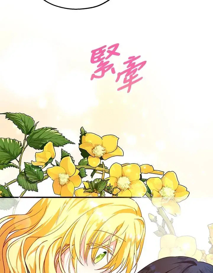 《收养的儿媳准备弃养了》第10话图82