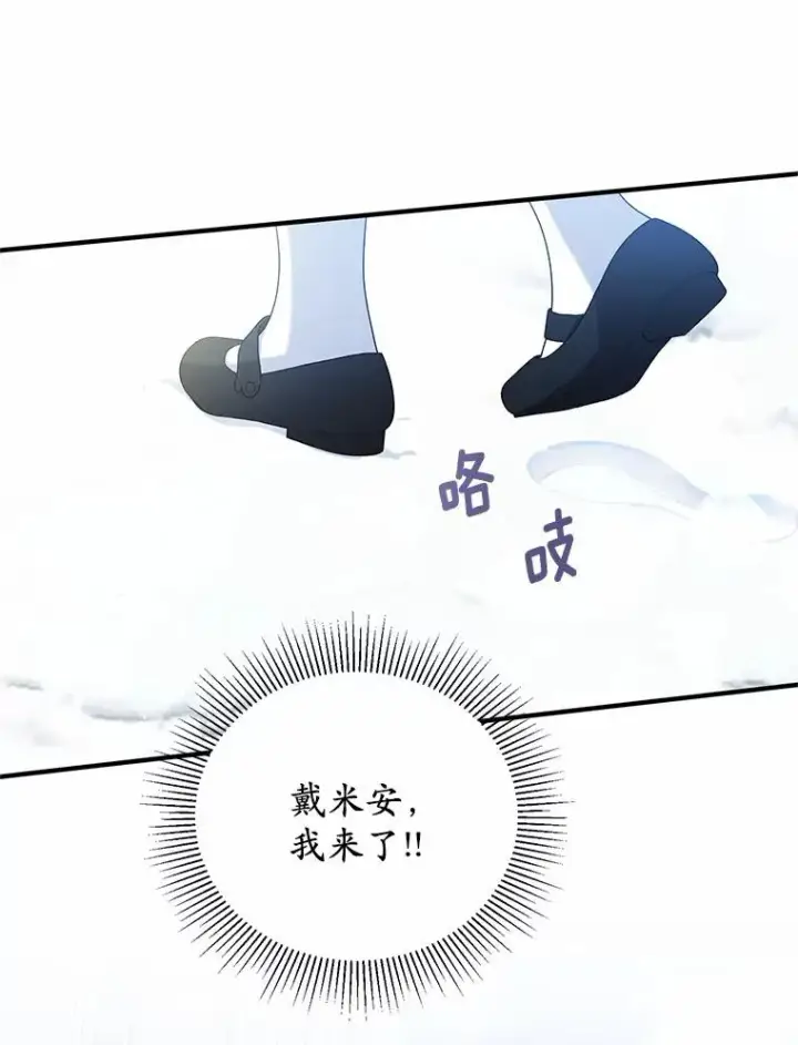 《收养的儿媳准备弃养了》63.雪中玩耍图34