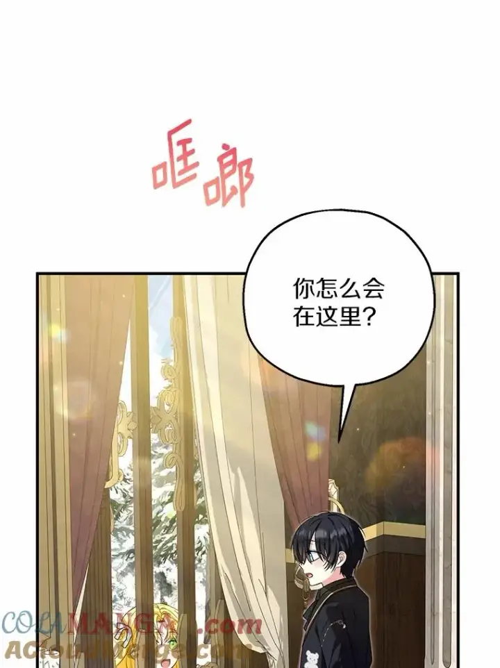 《收养的儿媳准备弃养了》63.雪中玩耍图85