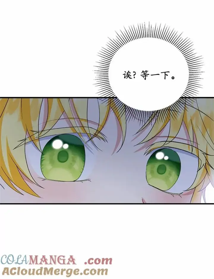 《收养的儿媳准备弃养了》64.神石图13