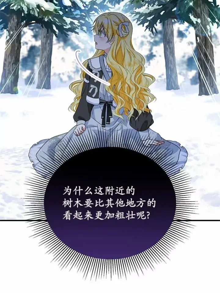 《收养的儿媳准备弃养了》64.神石图16