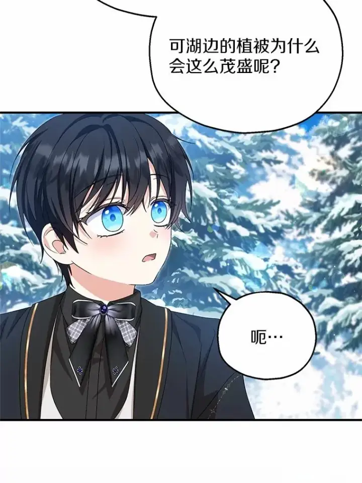 《收养的儿媳准备弃养了》64.神石图19