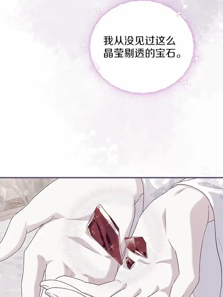 《收养的儿媳准备弃养了》64.神石图24