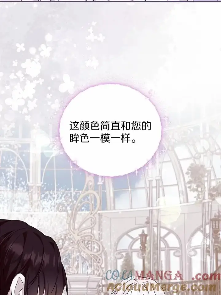 《收养的儿媳准备弃养了》64.神石图25