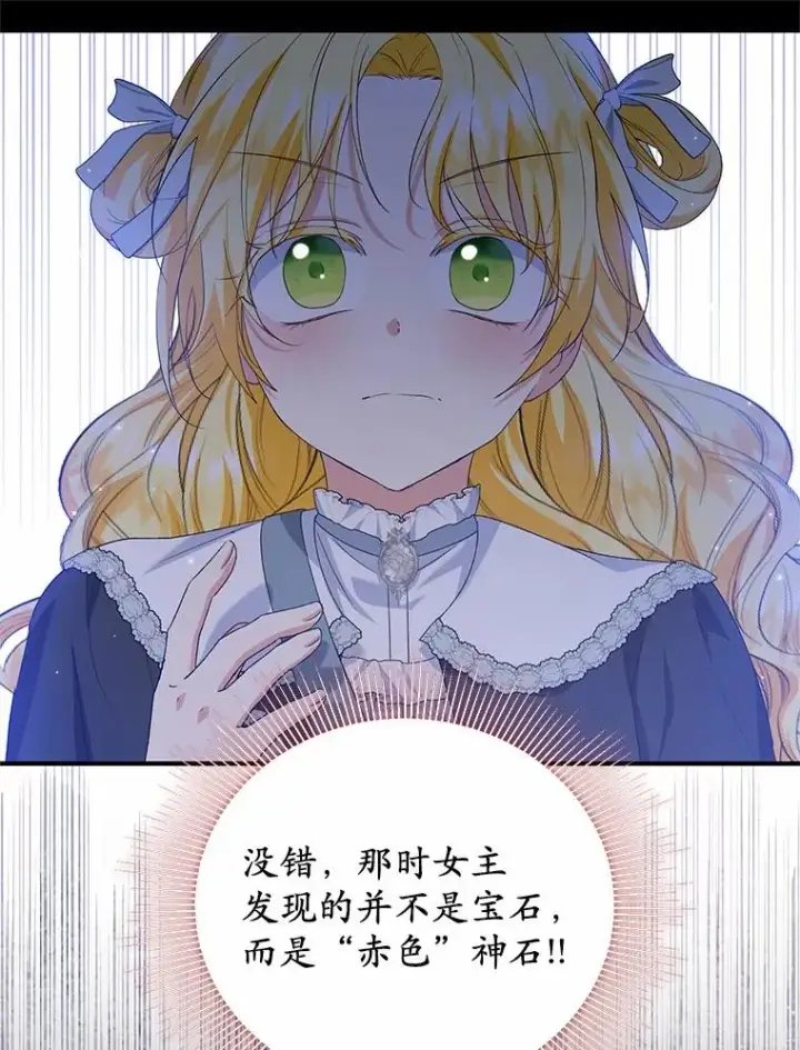 《收养的儿媳准备弃养了》64.神石图28