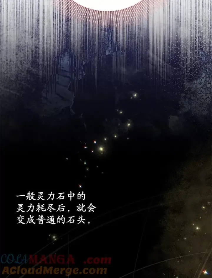 《收养的儿媳准备弃养了》64.神石图29