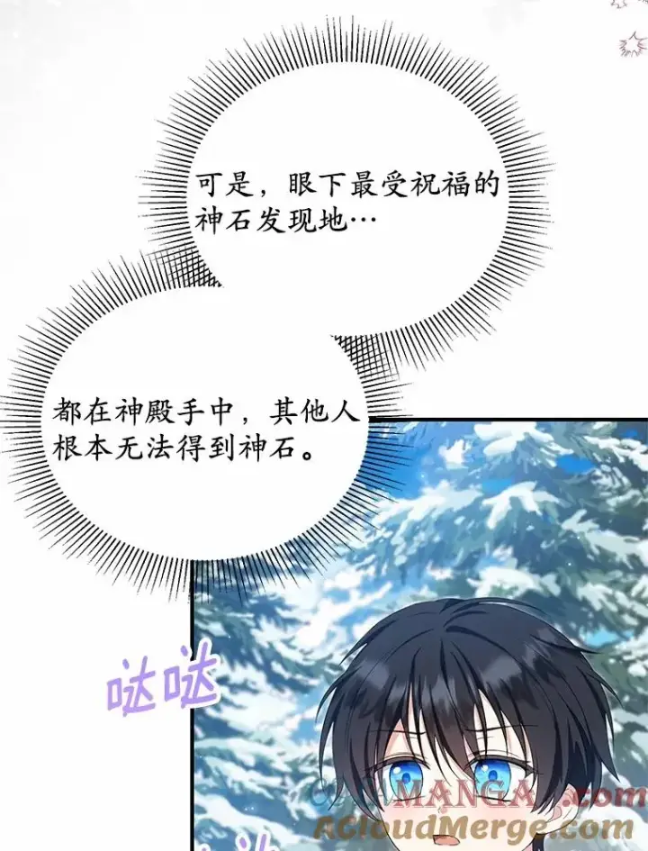 《收养的儿媳准备弃养了》64.神石图37