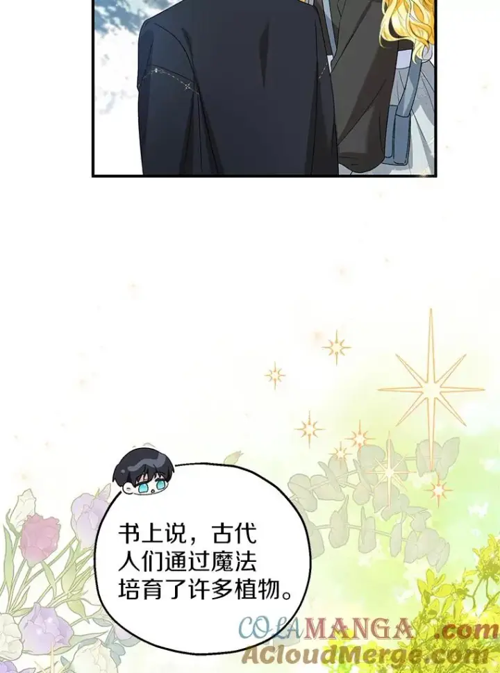 《收养的儿媳准备弃养了》64.神石图61