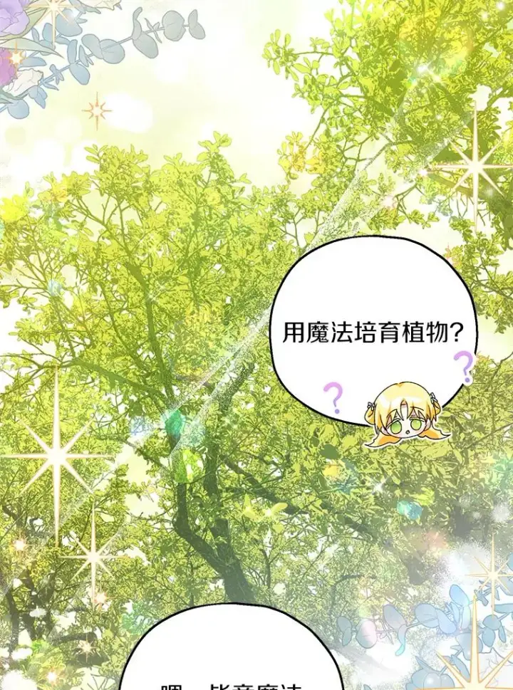 《收养的儿媳准备弃养了》64.神石图62