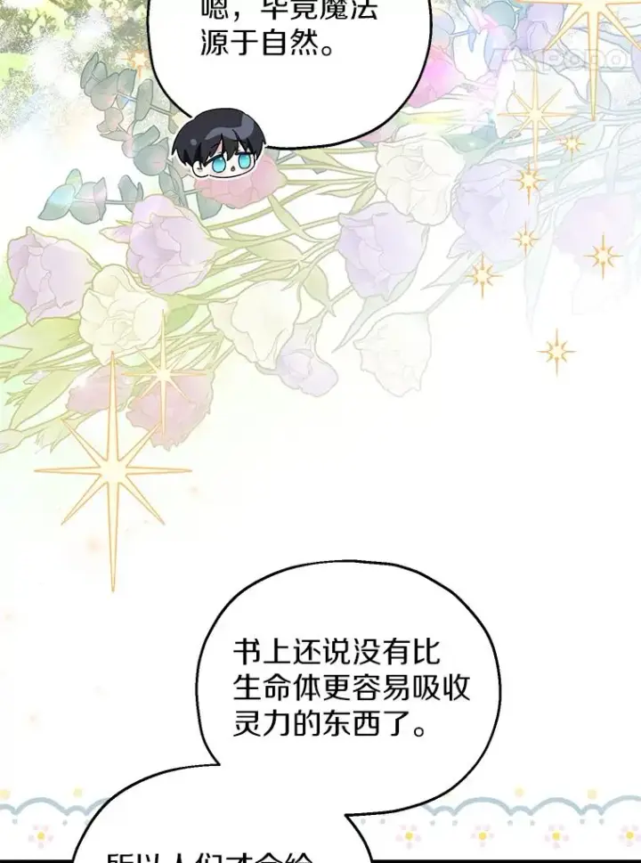 《收养的儿媳准备弃养了》64.神石图63