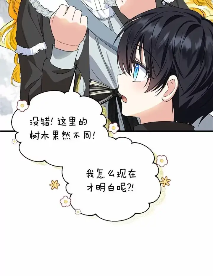 《收养的儿媳准备弃养了》64.神石图68