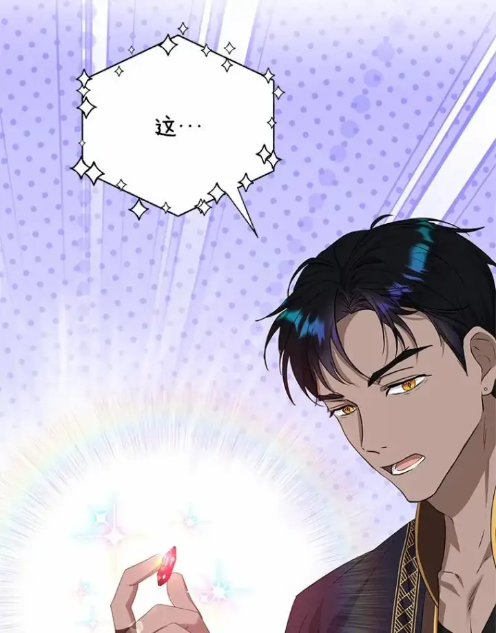 《收养的儿媳准备弃养了》64.神石图99