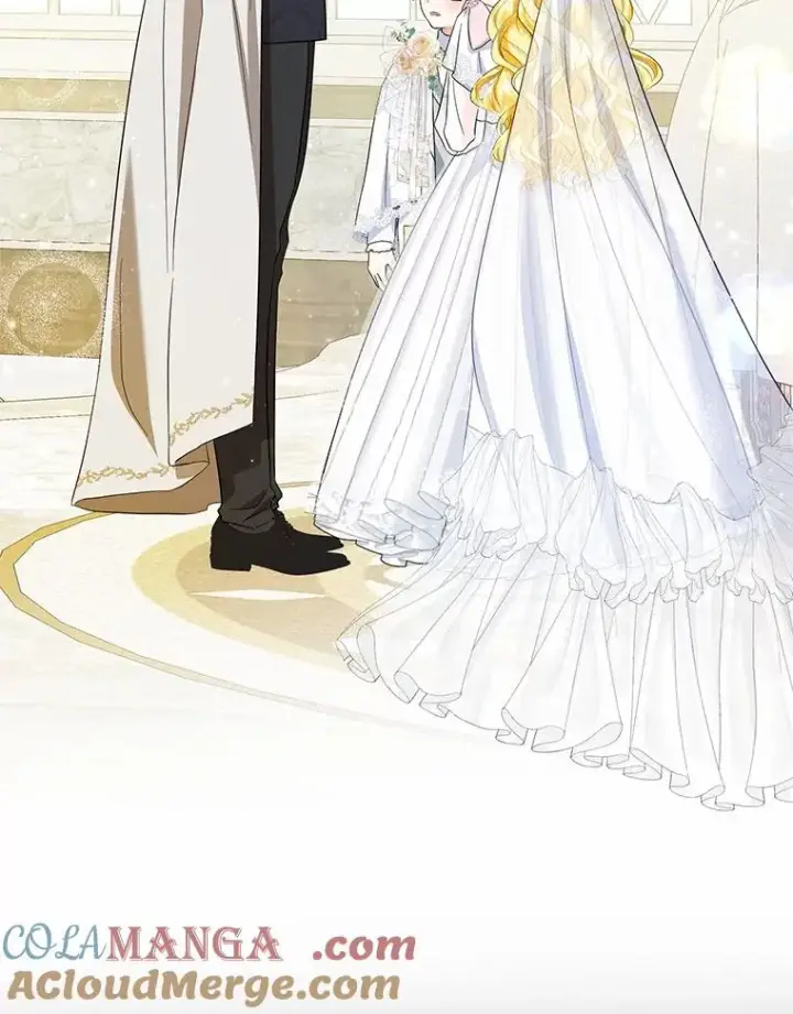 《收养的儿媳准备弃养了》66.结婚典礼图109