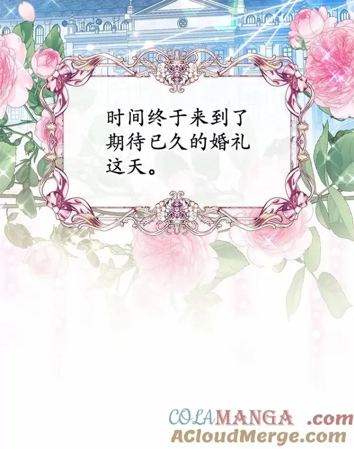 《收养的儿媳准备弃养了》66.结婚典礼图13