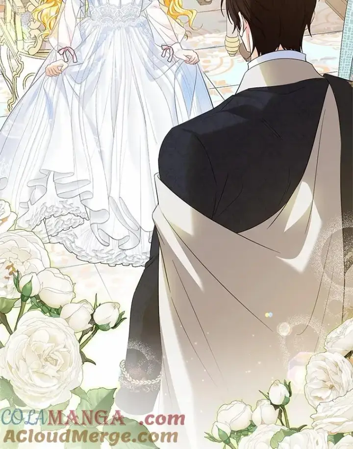 《收养的儿媳准备弃养了》66.结婚典礼图33