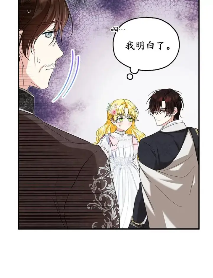 《收养的儿媳准备弃养了》66.结婚典礼图54