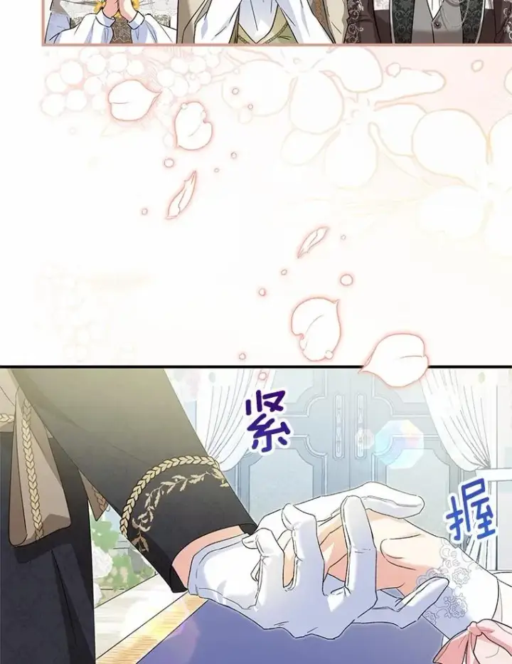 《收养的儿媳准备弃养了》66.结婚典礼图67