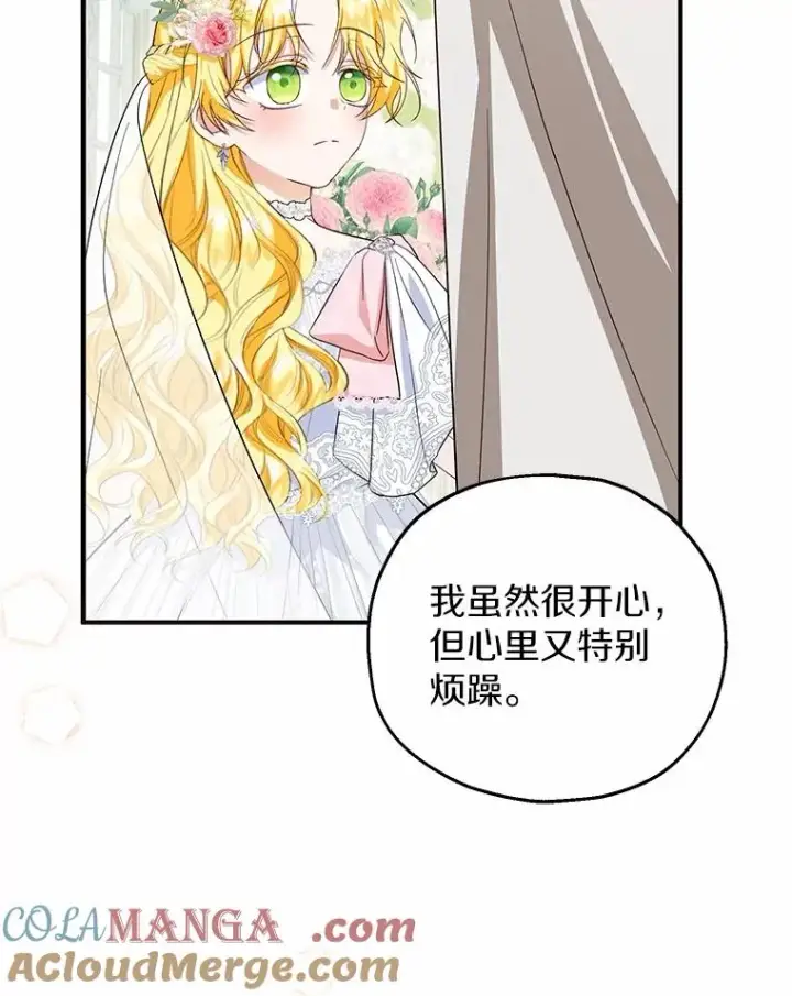 《收养的儿媳准备弃养了》66.结婚典礼图77