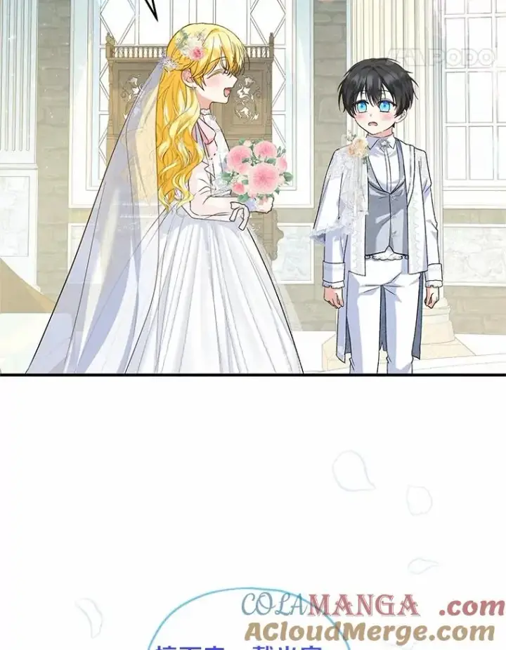 《收养的儿媳准备弃养了》66.结婚典礼图85