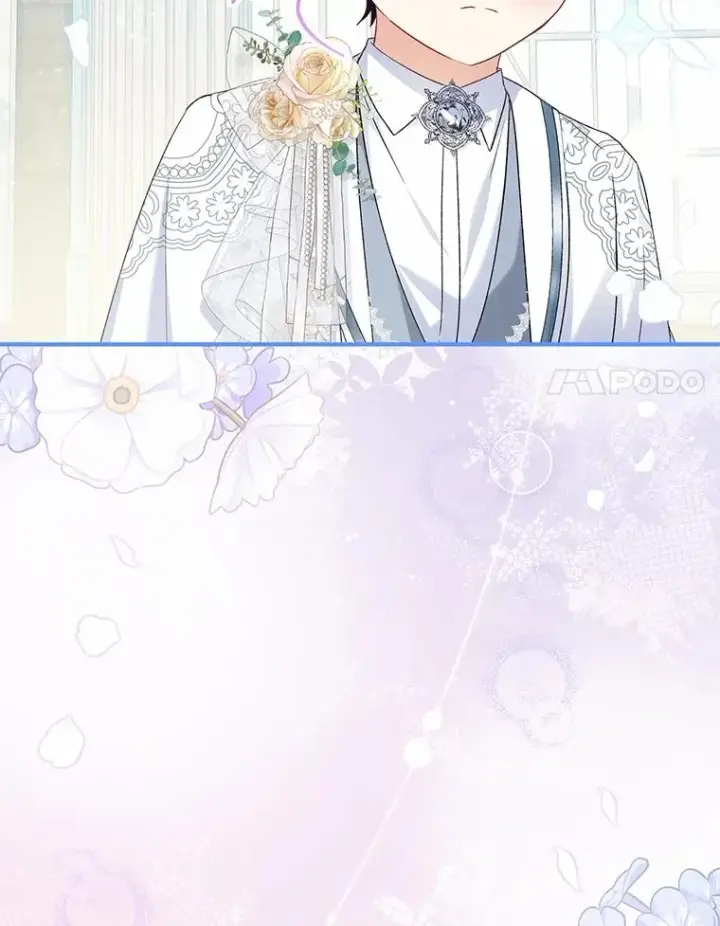 《收养的儿媳准备弃养了》66.结婚典礼图88