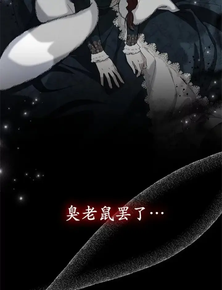 《收养的儿媳准备弃养了》67.开沙龙图112