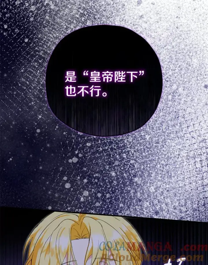 《收养的儿媳准备弃养了》67.开沙龙图37