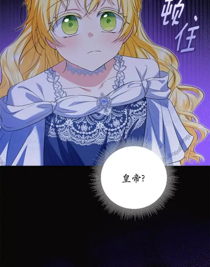 《收养的儿媳准备弃养了》67.开沙龙图38