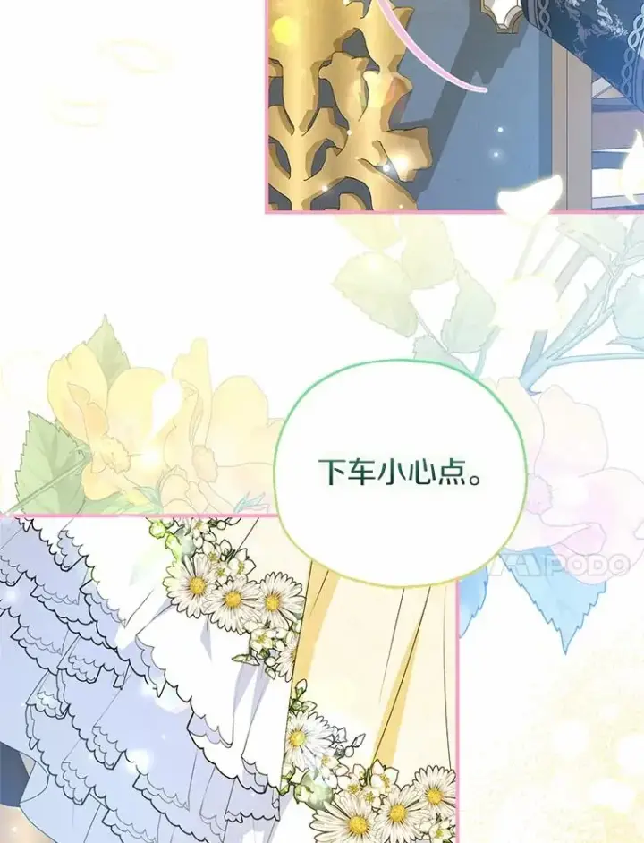 《收养的儿媳准备弃养了》78.亮相舞会图78