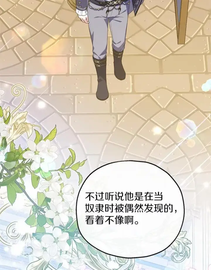 《收养的儿媳准备弃养了》78.亮相舞会图87