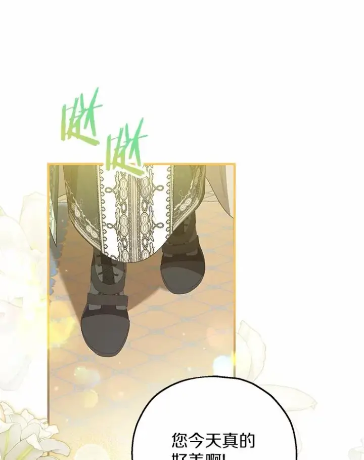 《收养的儿媳准备弃养了》78.亮相舞会图99