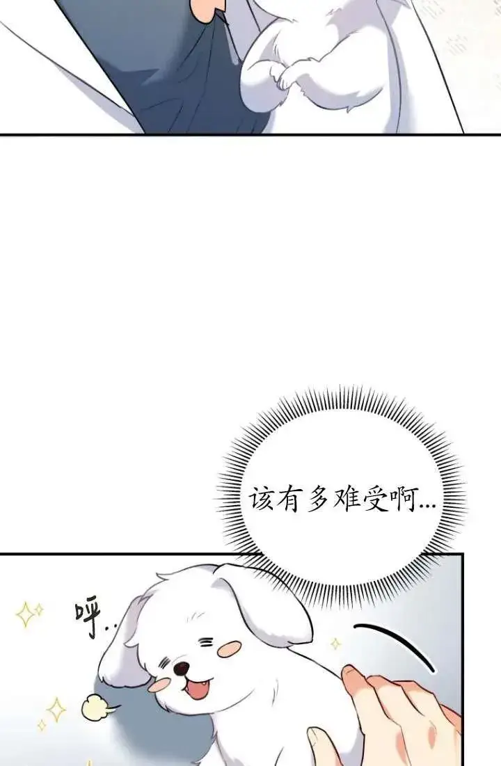 《兽医先生！你好？》第01话图108