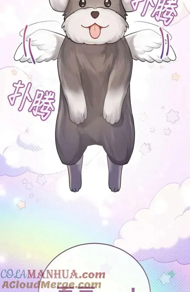 《兽医先生！你好？》第01话图21