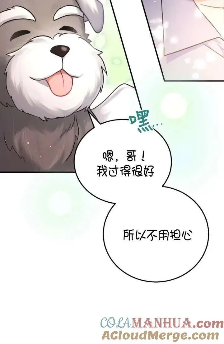 《兽医先生！你好？》第01话图25