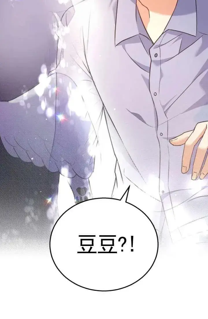 《兽医先生！你好？》第01话图27