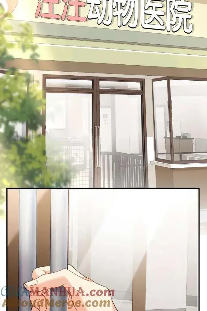 《兽医先生！你好？》第01话图45