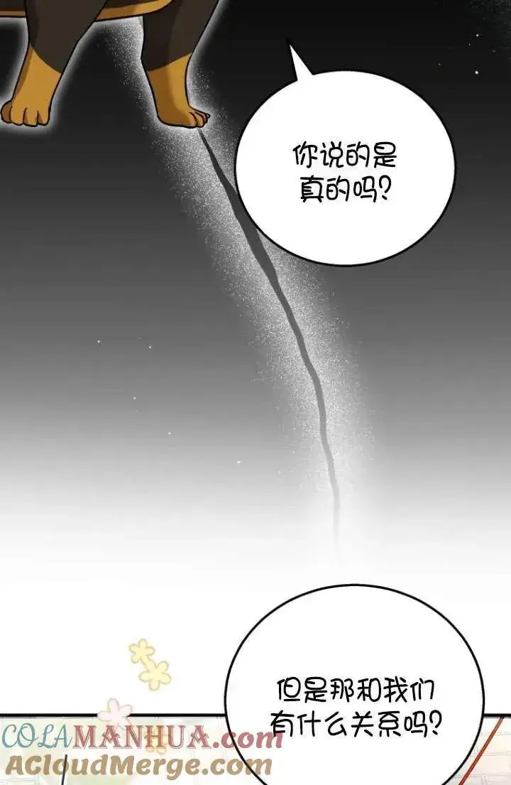 《兽医先生！你好？》第01话图5