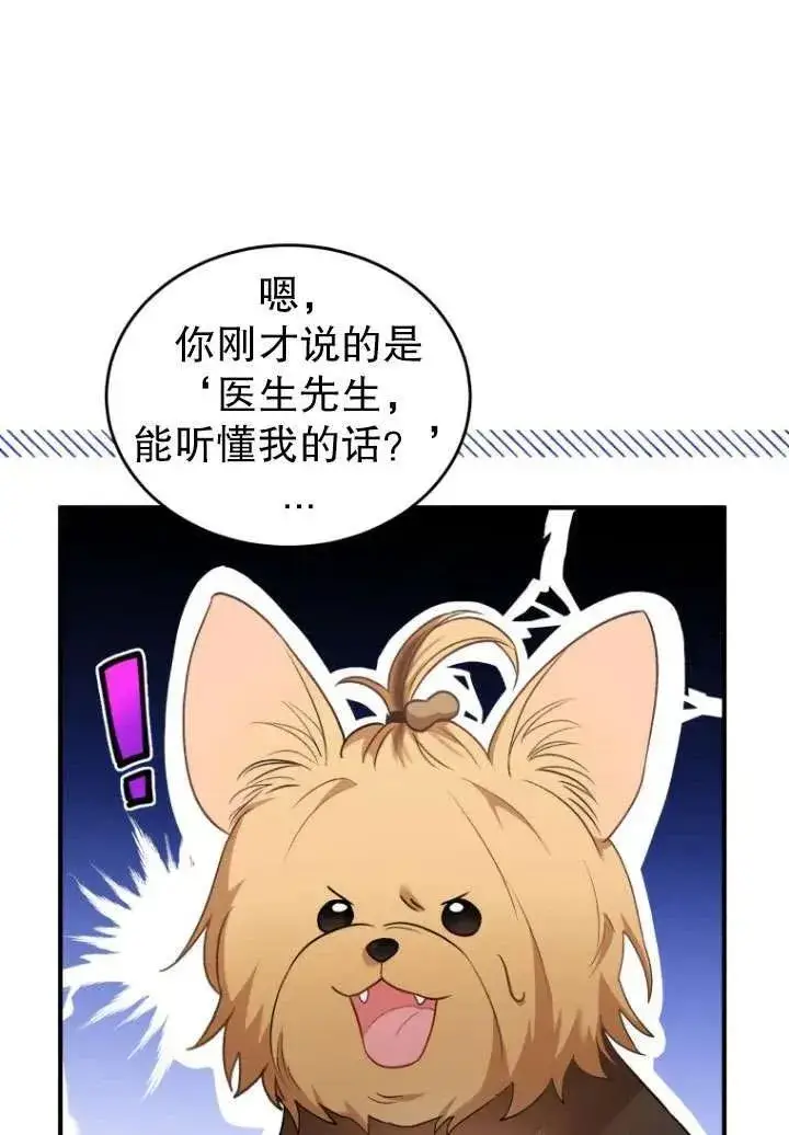 《兽医先生！你好？》第02话图52