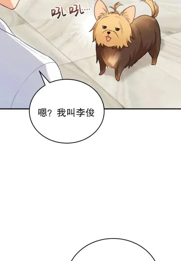 《兽医先生！你好？》第02话图54
