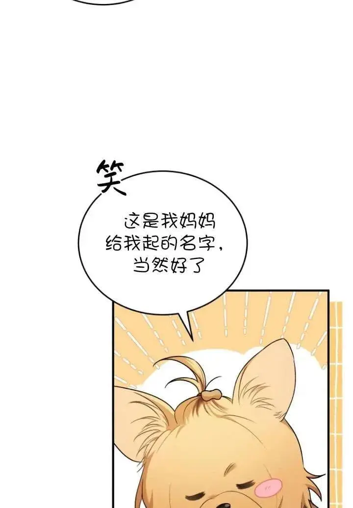 《兽医先生！你好？》第02话图56