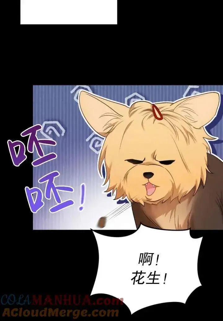《兽医先生！你好？》第02话图61