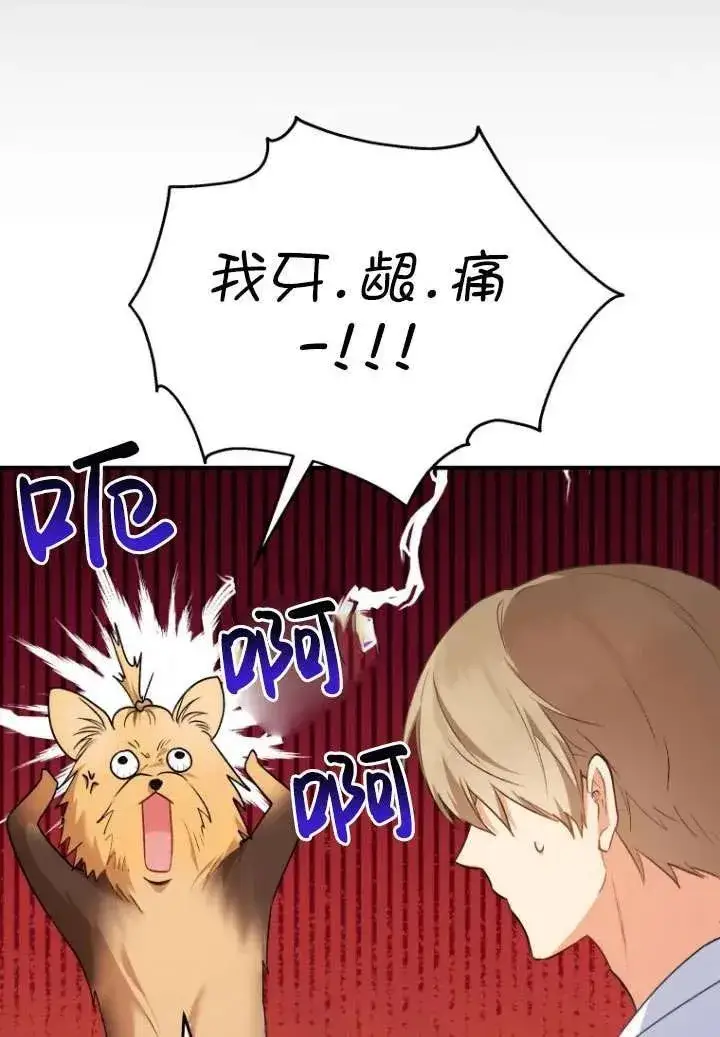 《兽医先生！你好？》第02话图67