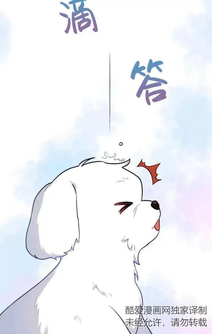 《兽医先生！你好？》第02话图7