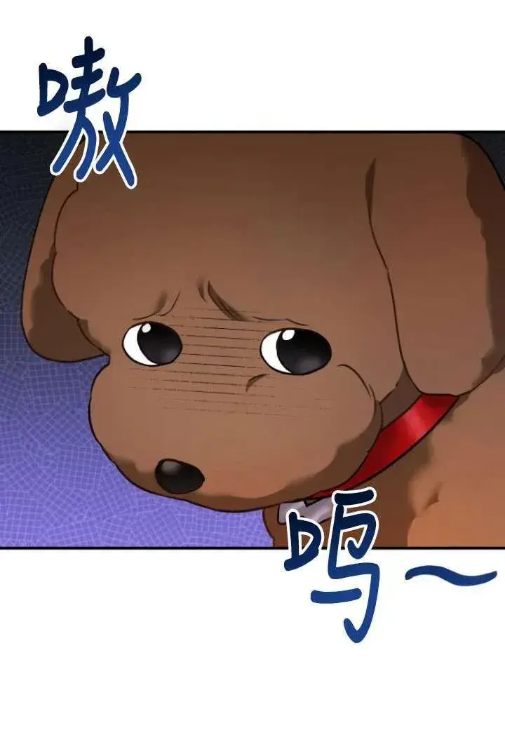 《兽医先生！你好？》第03话图12